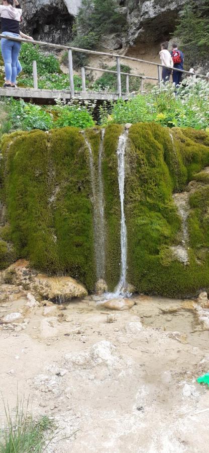 Pensiunea Sura Orăştie Exteriör bild